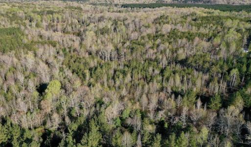 Photo #2 of SOLD property in Off River Road, Troy, NC 17.0 acres