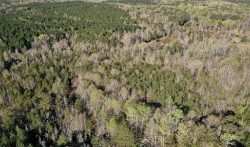 Photo #4 of SOLD property in Off River Road, Troy, NC 17.0 acres