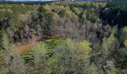 Photo #6 of SOLD property in Off River Road, Troy, NC 17.0 acres