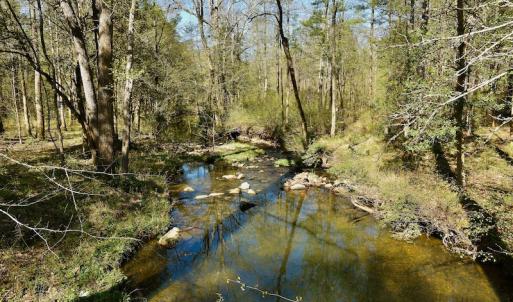 Photo #7 of SOLD property in Off River Road, Troy, NC 17.0 acres