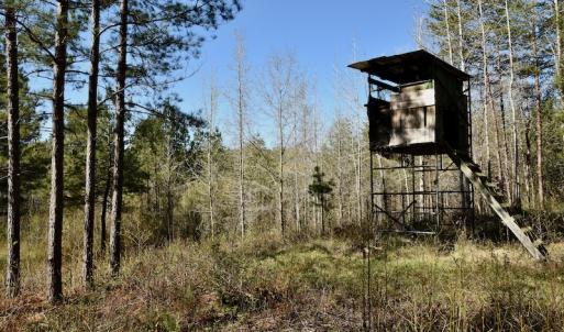 Photo #8 of SOLD property in Off River Road, Troy, NC 17.0 acres