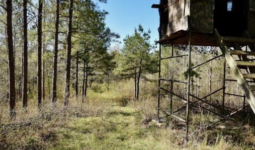 Photo #9 of SOLD property in Off River Road, Troy, NC 17.0 acres