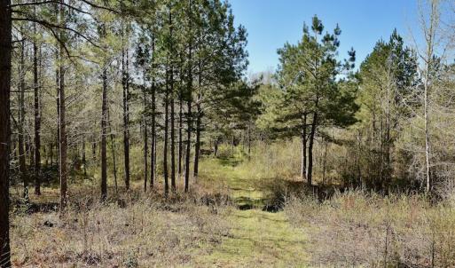 Photo #10 of SOLD property in Off River Road, Troy, NC 17.0 acres