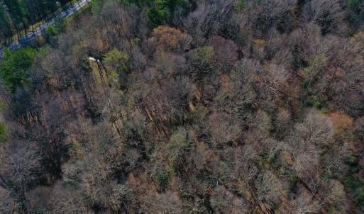 Photo #4 of SOLD property in Off Glenn Road, Troy, NC 20.7 acres