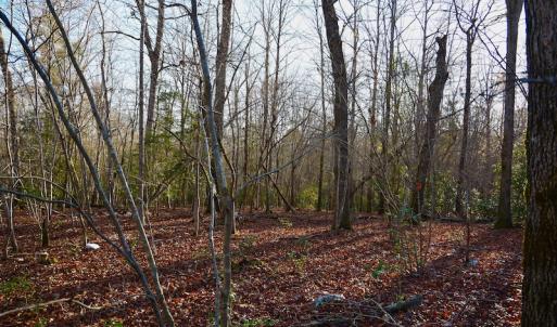 Photo #7 of SOLD property in Off Glenn Road, Troy, NC 20.7 acres