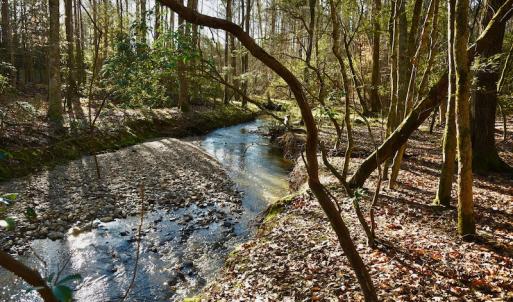 Photo #8 of SOLD property in Off Glenn Road, Troy, NC 20.7 acres