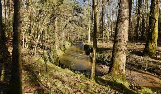 Photo #10 of SOLD property in Off Glenn Road, Troy, NC 20.7 acres