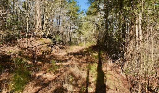 Photo #11 of SOLD property in Off Glenn Road, Troy, NC 20.7 acres