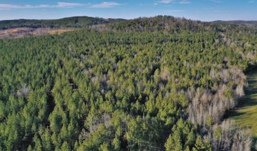 Photo #3 of SOLD property in Off Lovin Hill Road, Candor, NC 25.0 acres