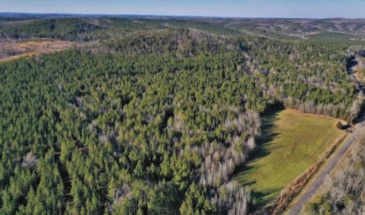 Photo #4 of SOLD property in Off Lovin Hill Road, Candor, NC 25.0 acres