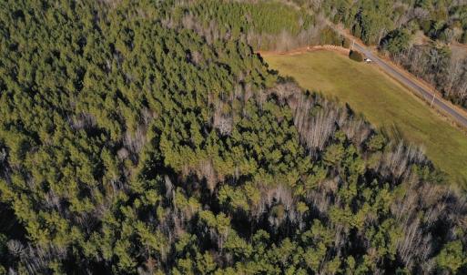 Photo #5 of SOLD property in Off Lovin Hill Road, Candor, NC 25.0 acres