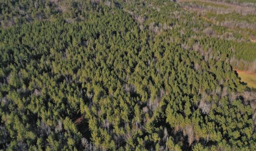 Photo #6 of SOLD property in Off Lovin Hill Road, Candor, NC 25.0 acres