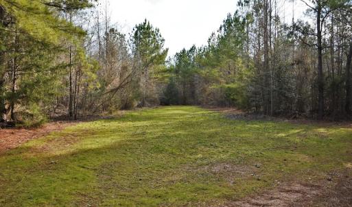 Photo #9 of SOLD property in Off Lovin Hill Road, Candor, NC 25.0 acres