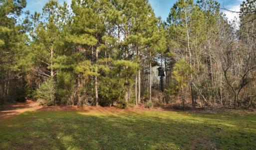 Photo #10 of SOLD property in Off Lovin Hill Road, Candor, NC 25.0 acres