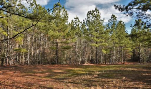 Photo #11 of SOLD property in Off Lovin Hill Road, Candor, NC 25.0 acres