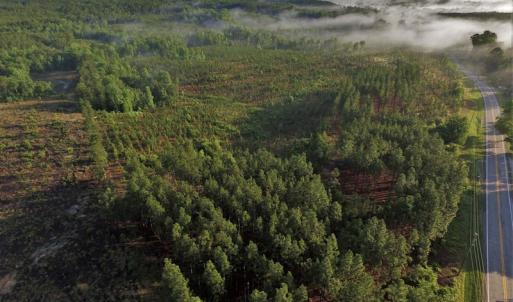 Photo #2 of SOLD property in Off NC Hwy, Jackson Springs, NC 29.6 acres