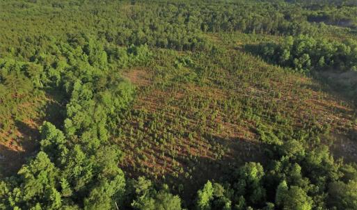 Photo #4 of SOLD property in Off NC Hwy, Jackson Springs, NC 29.6 acres