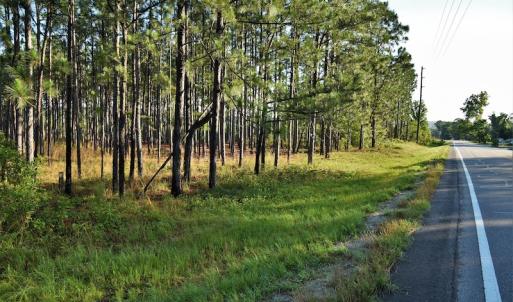Photo #7 of SOLD property in Off NC Hwy, Jackson Springs, NC 29.6 acres