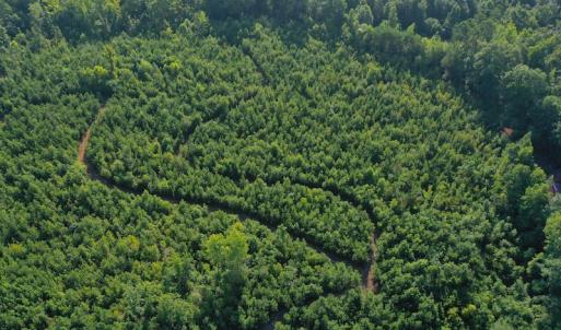 Photo #3 of SOLD property in Off Whip O Will Cove Rd, New London, NC 30.0 acres