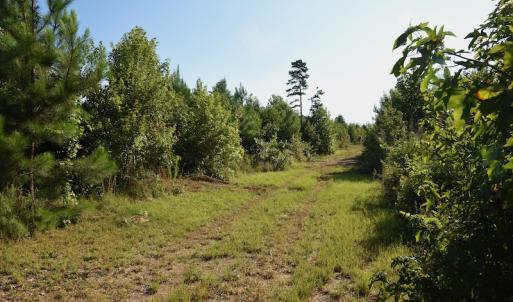 Photo #7 of SOLD property in Off Whip O Will Cove Rd, New London, NC 30.0 acres