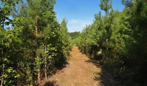 Photo #8 of SOLD property in Off Whip O Will Cove Rd, New London, NC 30.0 acres