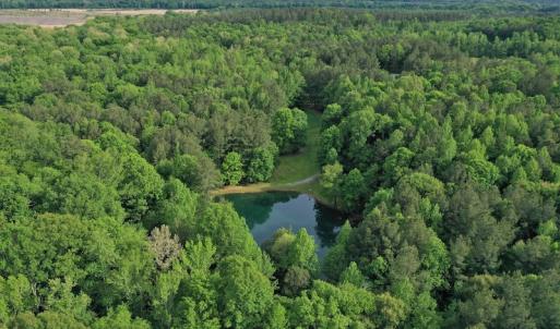 Photo #2 of SOLD property in 2942 Thickety Creek Road, Mt. Gilead, NC 75.0 acres