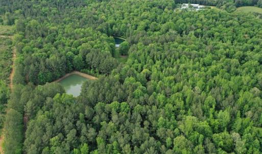 Photo #3 of SOLD property in 2942 Thickety Creek Road, Mt. Gilead, NC 75.0 acres
