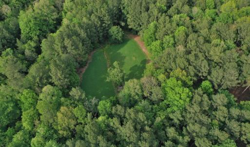 Photo #5 of SOLD property in 2942 Thickety Creek Road, Mt. Gilead, NC 75.0 acres