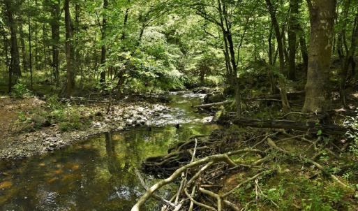 Photo #11 of SOLD property in 2942 Thickety Creek Road, Mt. Gilead, NC 75.0 acres