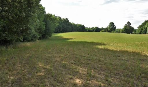 Photo #8 of SOLD property in Off McCanless Road, Salisbury, NC 20.7 acres