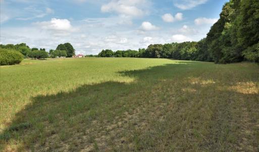 Photo #11 of SOLD property in Off McCanless Road, Salisbury, NC 20.7 acres