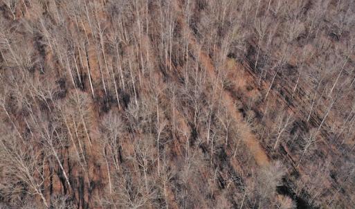 Photo #3 of SOLD property in Off Bringle Ferry Road, Salisbury, NC 56.5 acres