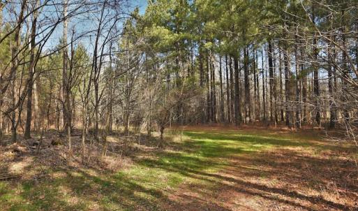 Photo #6 of SOLD property in Off Bringle Ferry Road, Salisbury, NC 56.5 acres