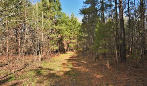 Photo #7 of SOLD property in Off Bringle Ferry Road, Salisbury, NC 56.5 acres