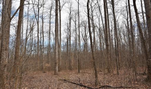 Photo #8 of SOLD property in Off Bringle Ferry Road, Salisbury, NC 56.5 acres