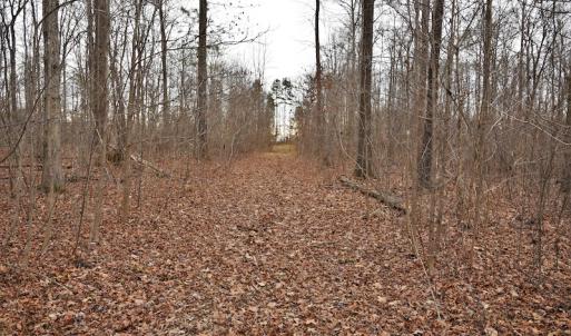 Photo #10 of SOLD property in Off Bringle Ferry Road, Salisbury, NC 56.5 acres