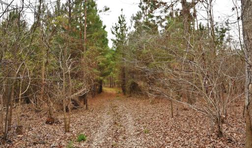 Photo #11 of SOLD property in Off Bringle Ferry Road, Salisbury, NC 56.5 acres