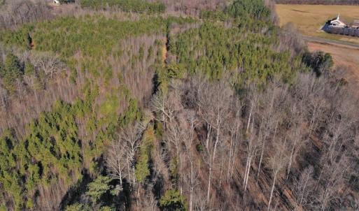 Photo #3 of SOLD property in Off Bringle Ferry Road, Salisbury, NC 74.0 acres