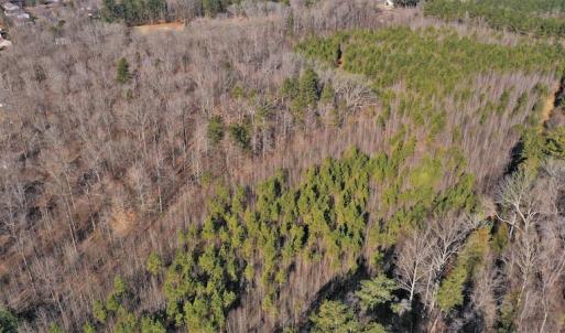 Photo #4 of SOLD property in Off Bringle Ferry Road, Salisbury, NC 74.0 acres