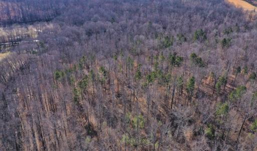 Photo #5 of SOLD property in Off Bringle Ferry Road, Salisbury, NC 74.0 acres