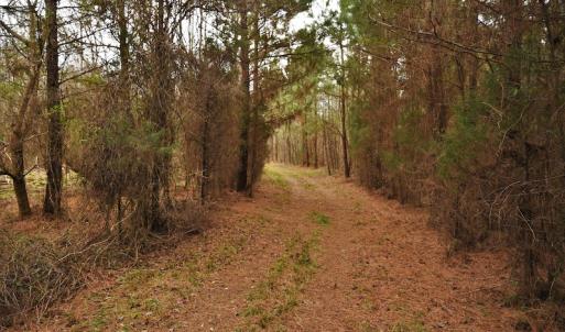 Photo #7 of SOLD property in Off Bringle Ferry Road, Salisbury, NC 74.0 acres