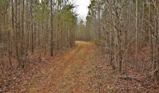 Photo #8 of SOLD property in Off Bringle Ferry Road, Salisbury, NC 74.0 acres