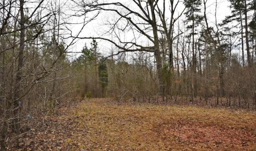 Photo #9 of SOLD property in Off Bringle Ferry Road, Salisbury, NC 74.0 acres