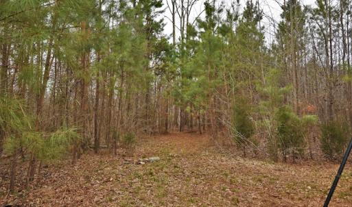 Photo #10 of SOLD property in Off Bringle Ferry Road, Salisbury, NC 74.0 acres