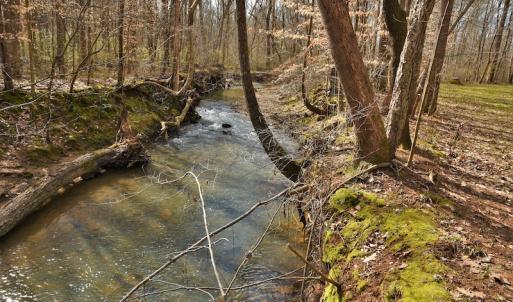 Photo #11 of SOLD property in Off Bringle Ferry Road, Salisbury, NC 74.0 acres