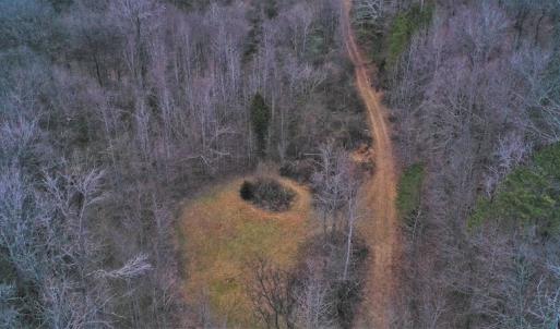 Photo #4 of SOLD property in Off Morgan Road, Albemarle, NC 21.9 acres