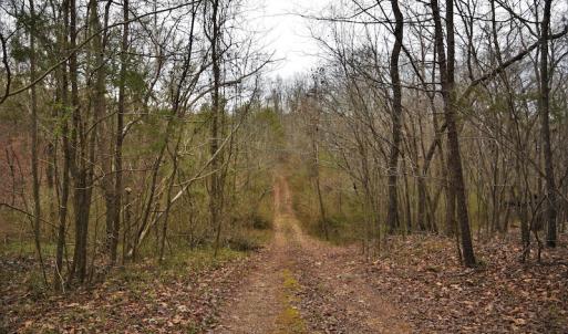 Photo #8 of SOLD property in Off Morgan Road, Albemarle, NC 21.9 acres