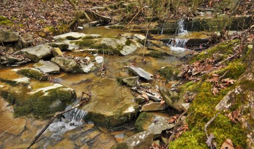 Photo #9 of SOLD property in Off Morgan Road, Albemarle, NC 21.9 acres