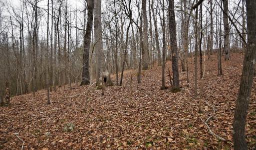 Photo #11 of SOLD property in Off Morgan Road, Albemarle, NC 21.9 acres