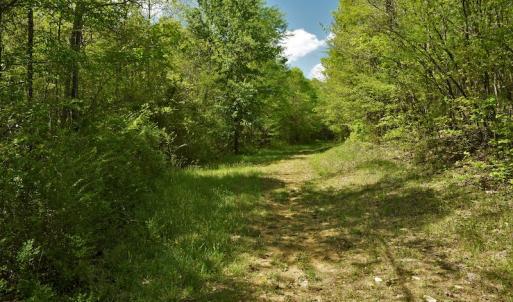 Photo #3 of SOLD property in Off Pennington Road, Albemarle, NC 67.4 acres